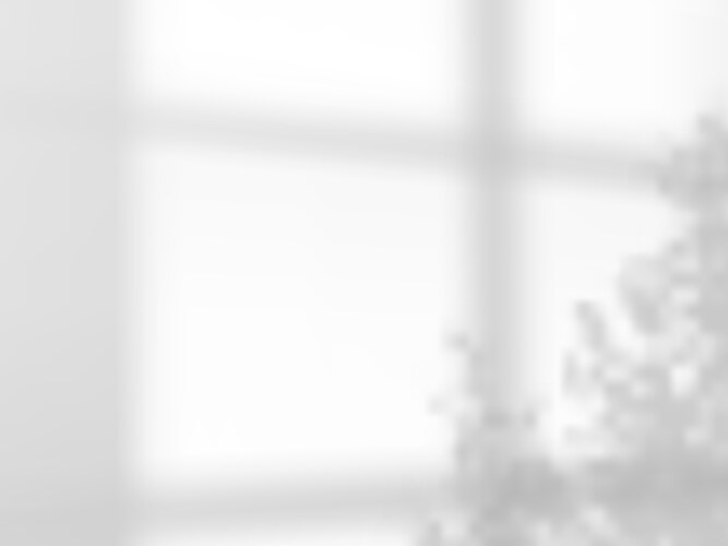 Soft blurry shadows from the window frame vector image