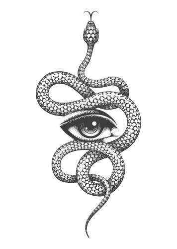 Eye & Serpent Symbol of Wisdom Vector Image