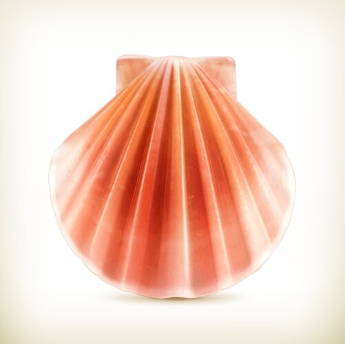 Open beautiful seashell with a precious pearl Vector Image