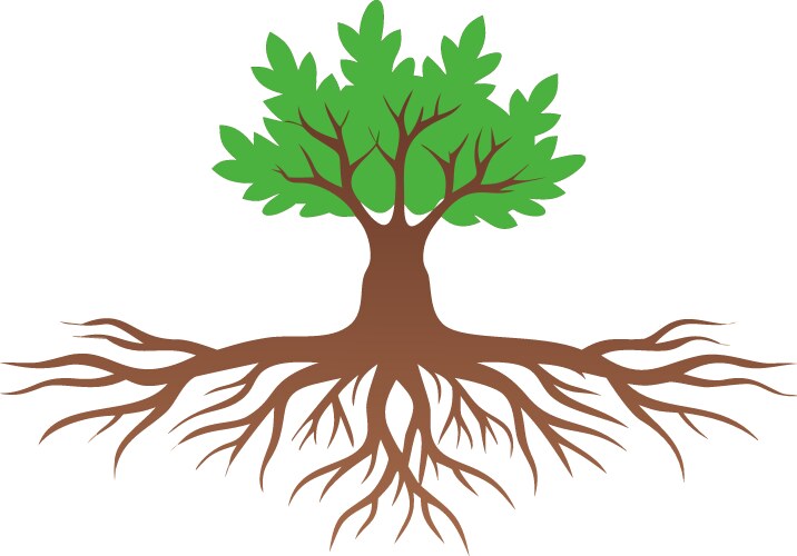 Resilient Tree with Deep Roots Vector Image