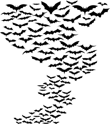 Bats flying set isolated on white Royalty Free Vector Image