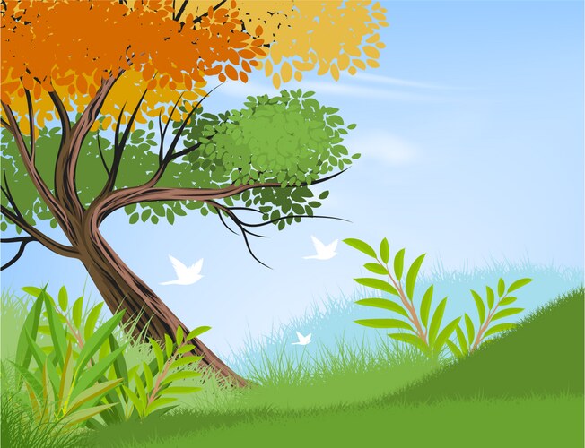 Dry tree Royalty Free Vector Image - VectorStock