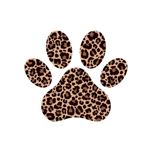 Paw print with leopard pattern vector image