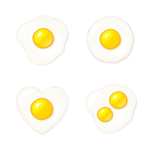 Fried chicken egg Royalty Free Vector Image - VectorStock