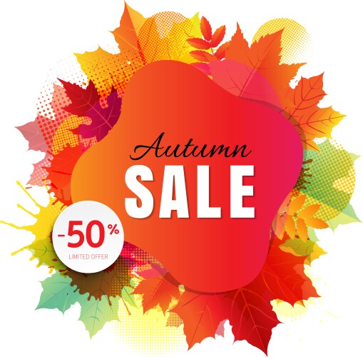 Autumn sale banner with colorful stain and leaves vector image