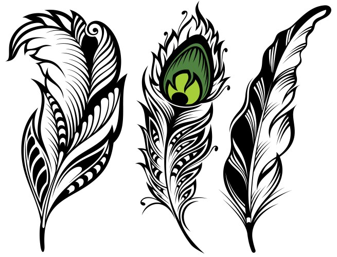Realistic detailed feathers set hand drawn Vector Image