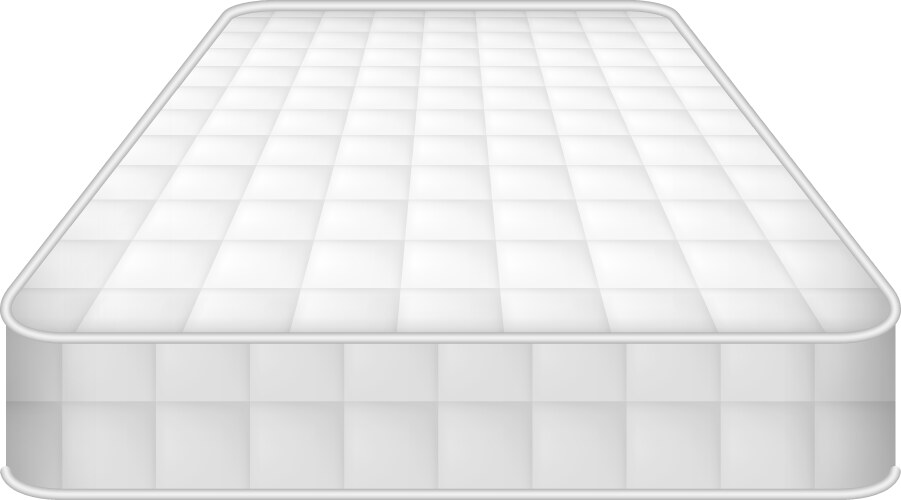 Realistic Eco Mattress Icon Vector Image