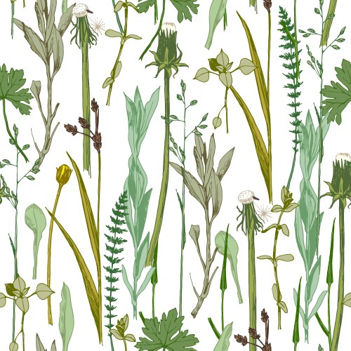 Seamless pattern with hand drawn garden flowers Vector Image