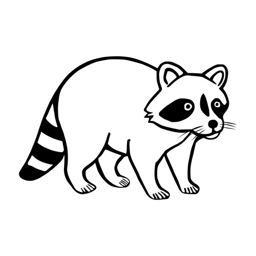 Charming Raccoon Sketch Vector Image