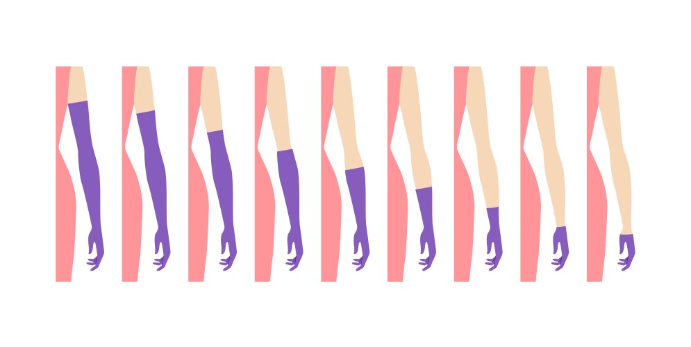 Set of gloves length chart diagram with name text Vector Image