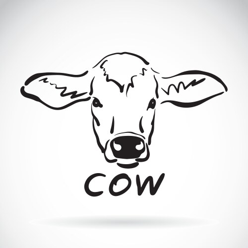 Cow head Vector Image