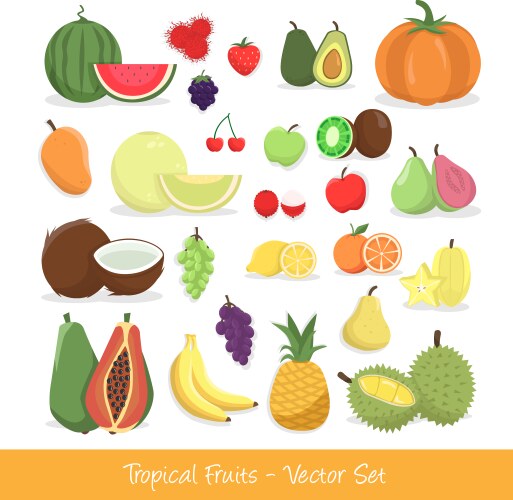 Tropical Fruit Collection Vector Image