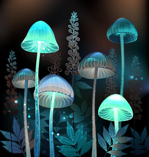 Contrasting night butterflies Royalty Free Vector Image