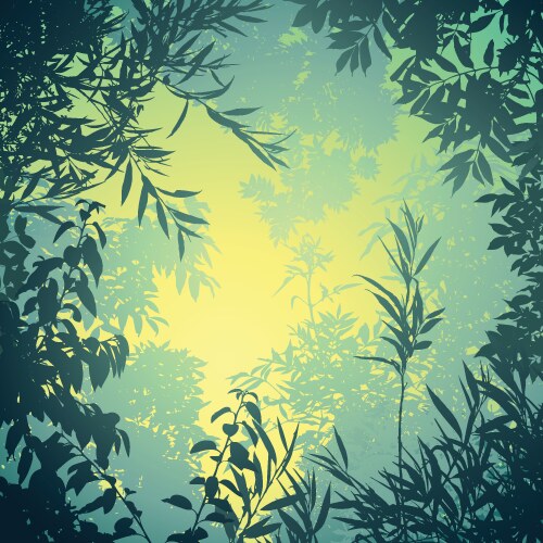 Background scene with forest in the rain Vector Image