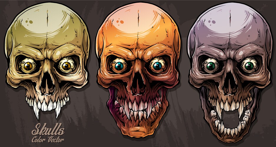 Detailed graphic colorful human skulls set Vector Image