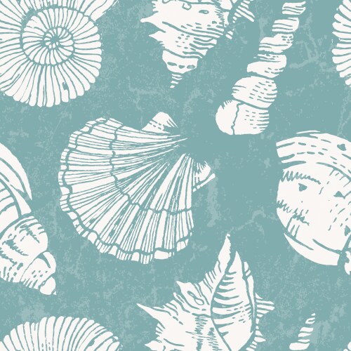 pattern with sea shells vector image