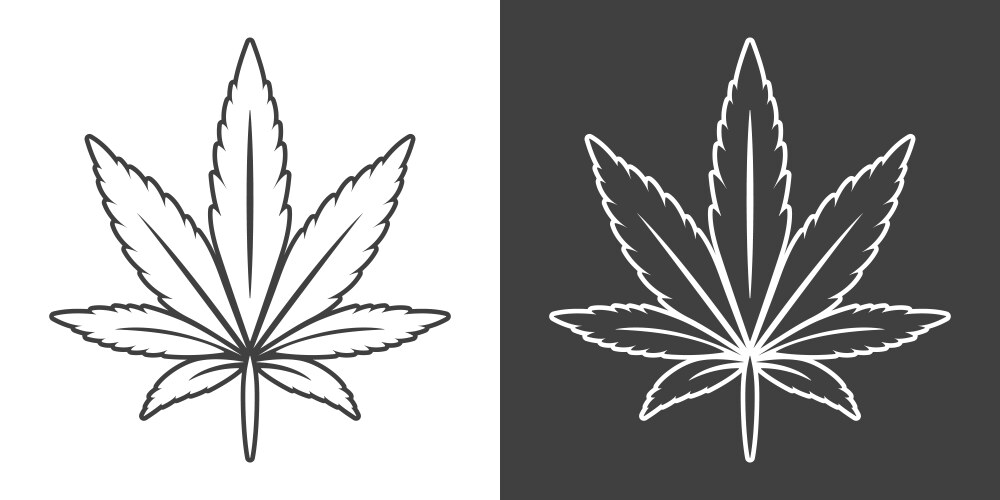 Cannabis leave icon hemp leaf vector image