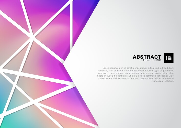 Abstract white geometric with lattice lines vector image