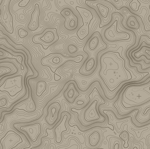 Seamless topographic contour lines map pattern Vector Image