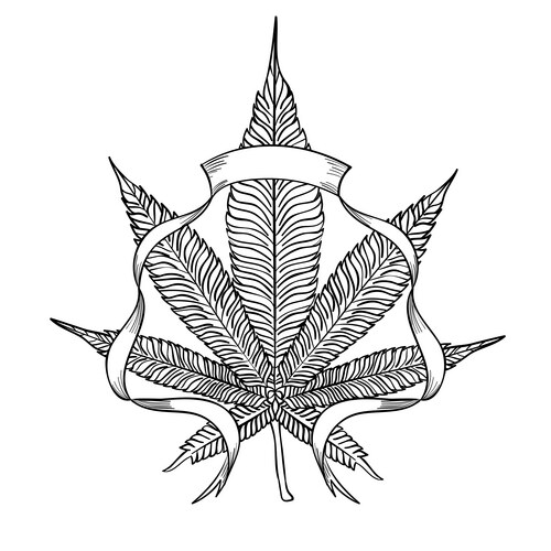 Cannabis3 Vector Image