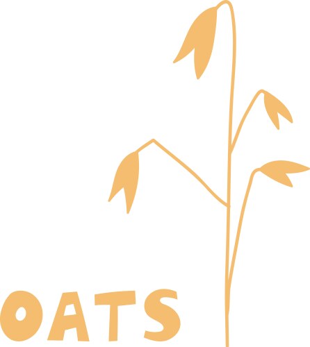 oat plants agriculture wheat logo template vector image vector image