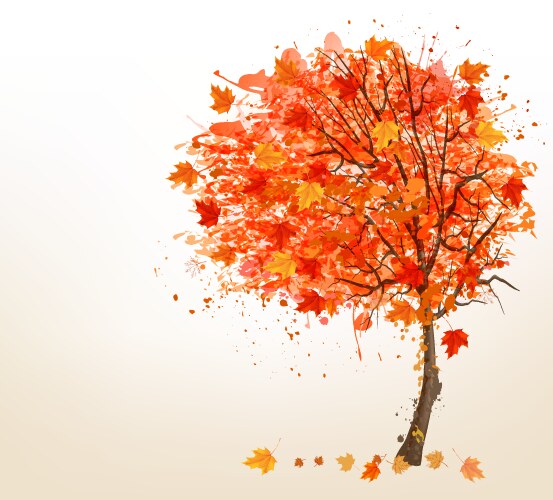 Realistic tree with leaves Royalty Free Vector Image