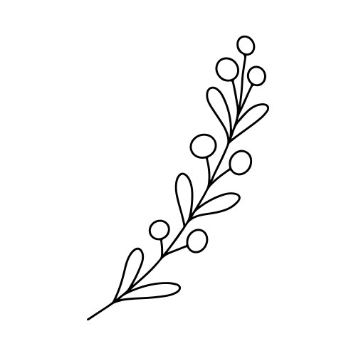 Hand drawn minimalist branch with leaves Vector Image