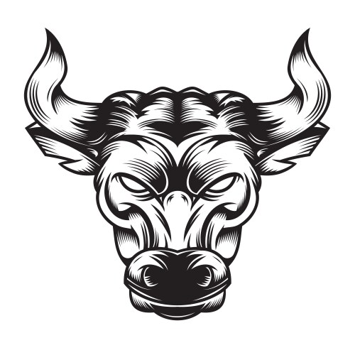 Bull fight design on white background cow line Vector Image
