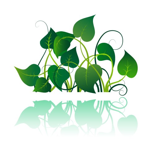 green leaves vector