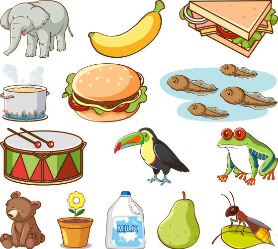 Large set different animals and other objects vector image