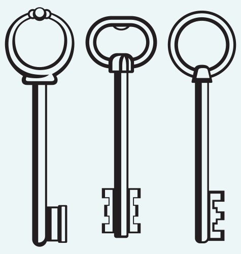 silhouette of keys vector image