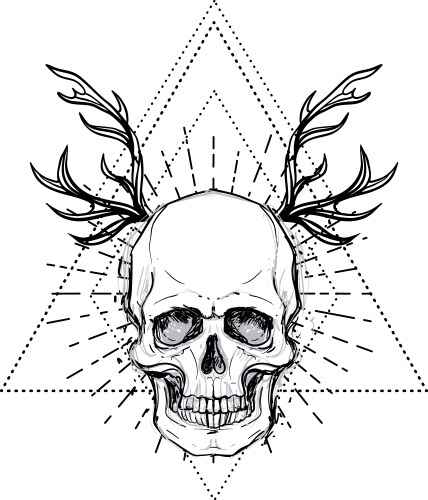 Sacred Geometry Skull Vector Image