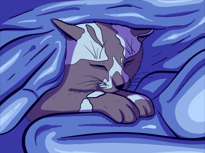 Art of a sleeping cat under warn blanket Vector Image