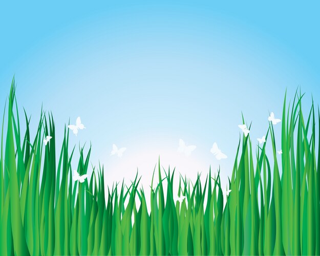Green grass and blue sky Royalty Free Vector Image