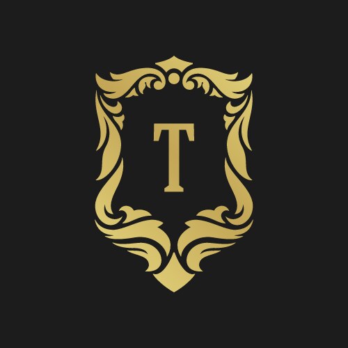 Initials pd logo rhombus lines shape style luxury Vector Image