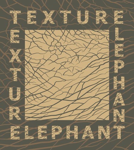 Elephant skin texture vector image