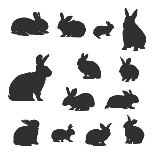Rabbit Silhouettes - Bunny Set Vector Image