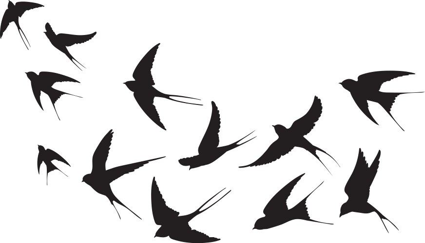 Swallows in Flight - Silhouette Flock Vector Image