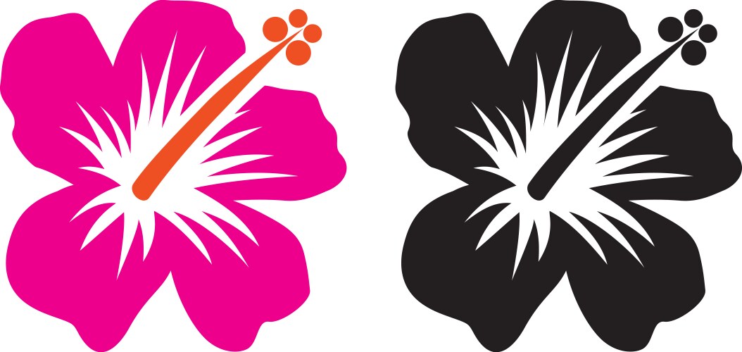 hibiscus flower vector