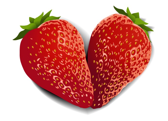 strawberry fruit heart vector image