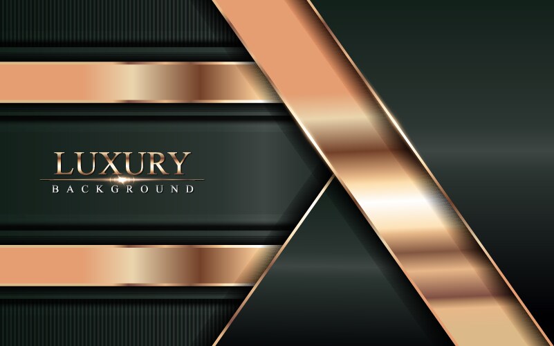 Luxury dark green background with golden lines vector image