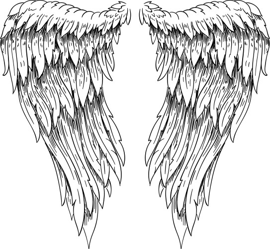 Hand Drawn Angel Wings Vector Image