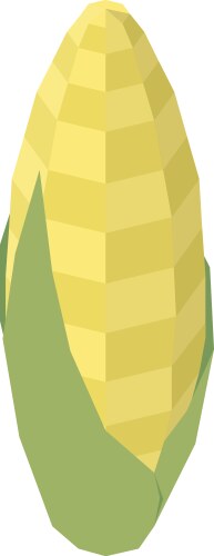 Organic corn isolated on white background Vector Image