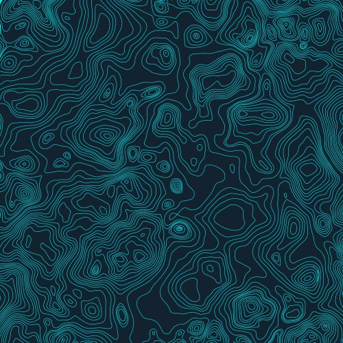 Abstract a topographic map pattern made Royalty Free Vector