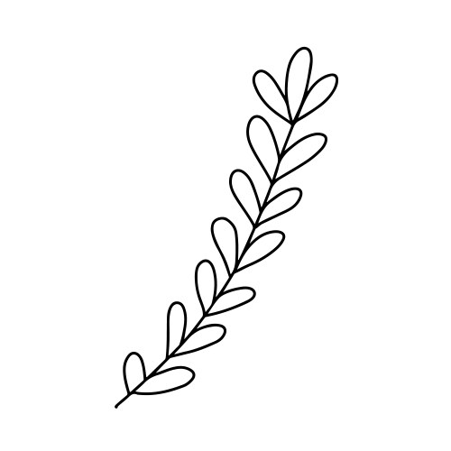 Hand drawn minimalist branch with round leaves Vector Image