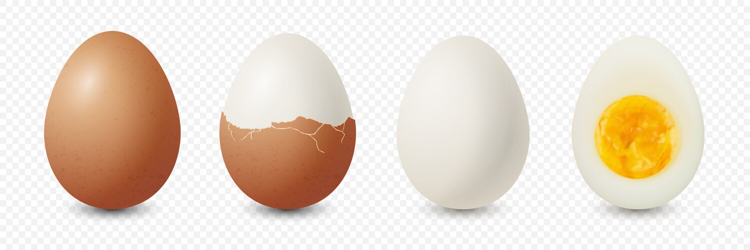 3d realistic brown chicken eggs textured vector