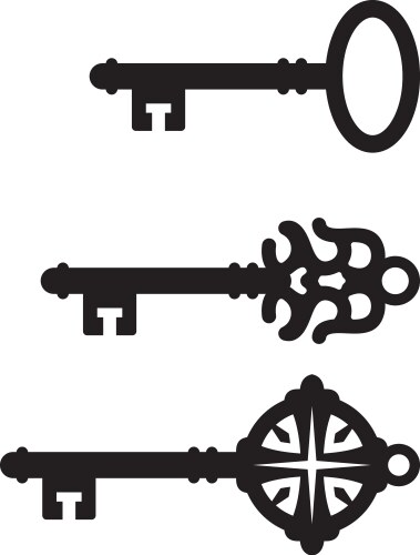 Key silhouette Royalty Free Vector Image - VectorStock