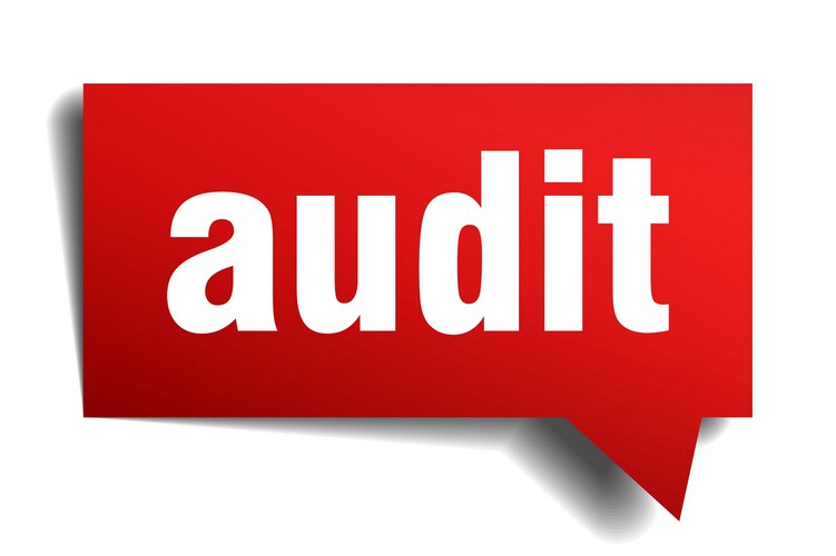 Audit red 3d realistic paper speech bubble Vector Image