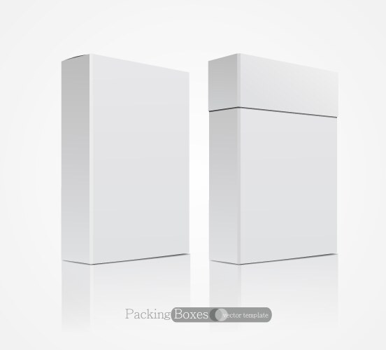 Packaging rectangle box die cut template design Vector Image