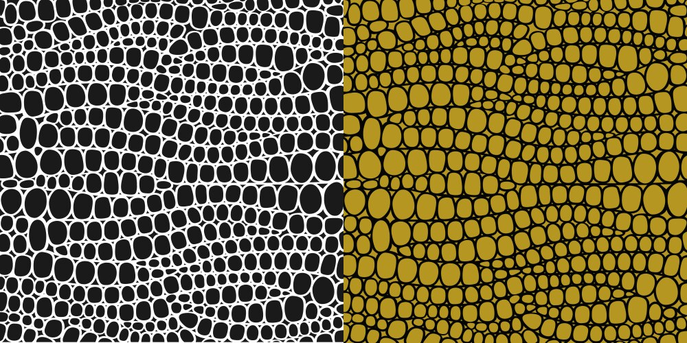 Crocodile pattern vector image